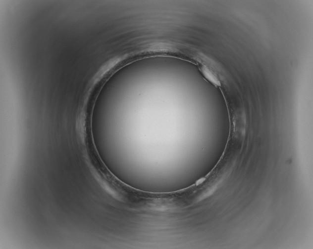 X0000111160436200907141405