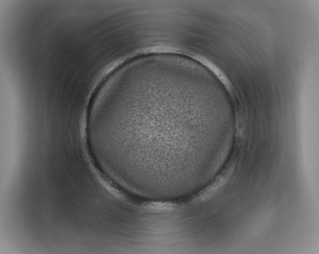 X0000111160437200907141405