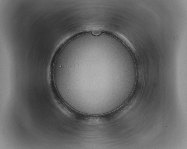 X0000111160439200907141405