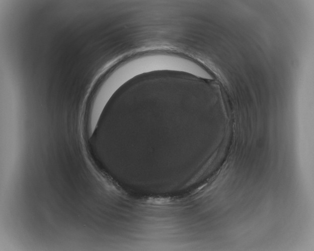 X0000111160440200907141405
