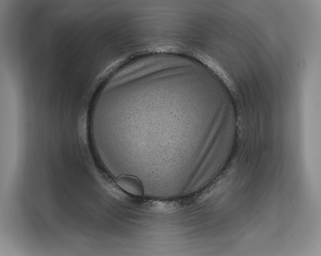 X0000111160442200907141405