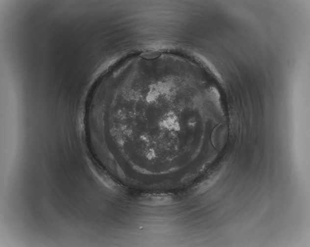 X0000111160443200907141405