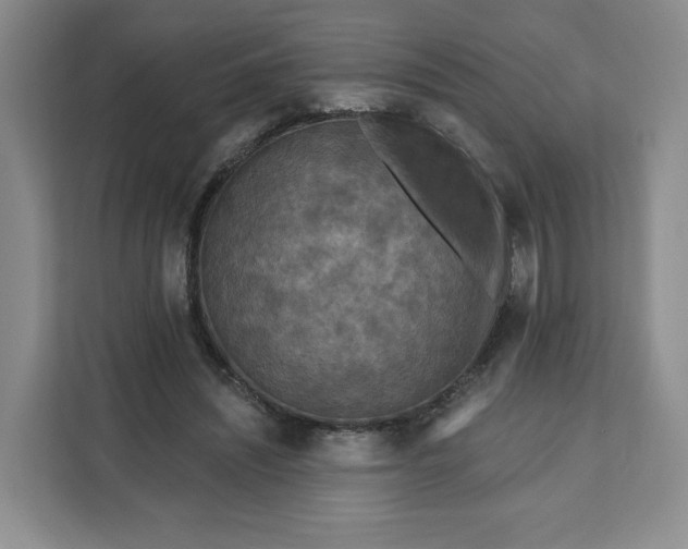 X0000111160444200907141405