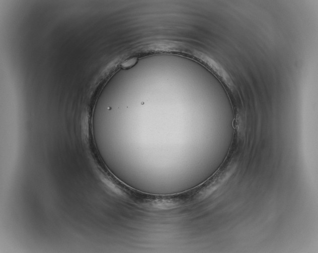 X0000111160445200907141405