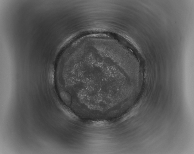 X0000111160446200907141405
