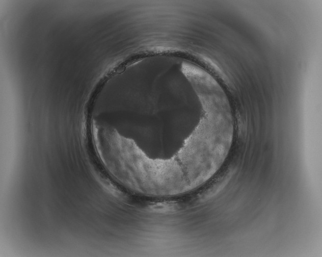 X0000111160447200907141405
