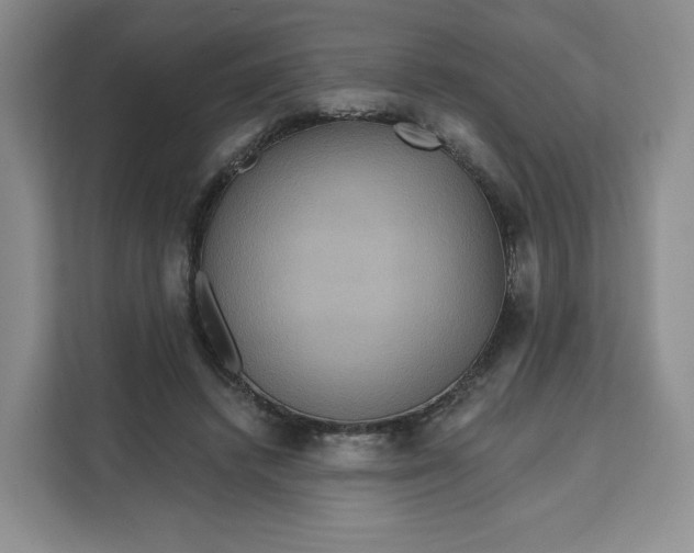 X0000111160448200907141405