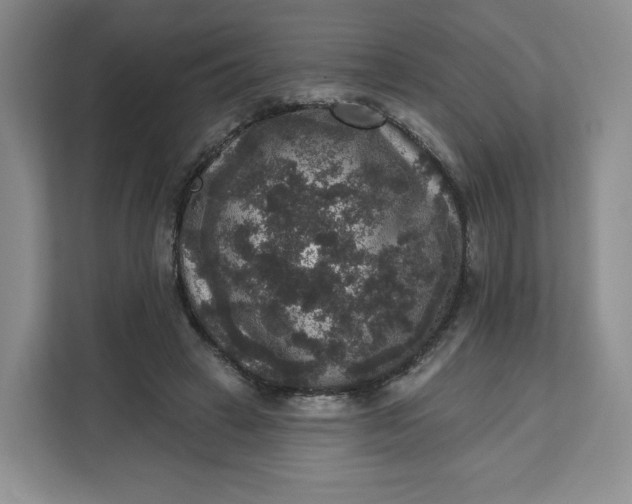 X0000111160449200907141405