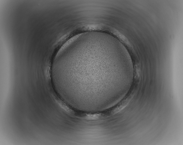X0000111160450200907141405
