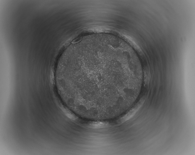 X0000111160453200907141405