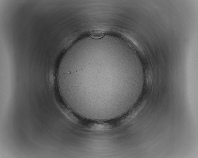 X0000111160455200907141405