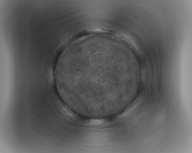 X0000111160457200907141405