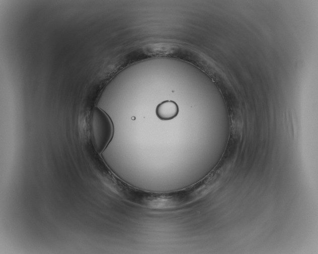 X0000111160460200907141405