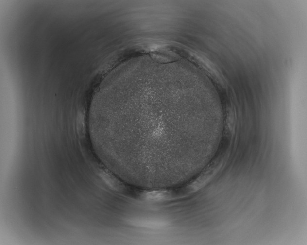 X0000111160461200907141405