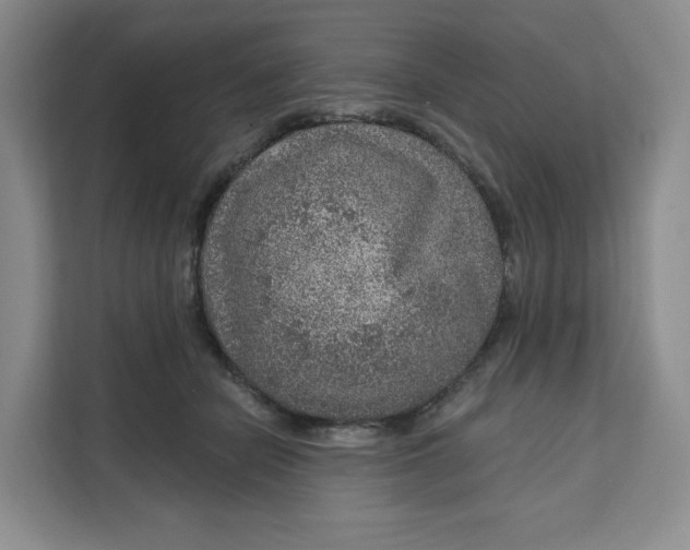 X0000111160462200907141405