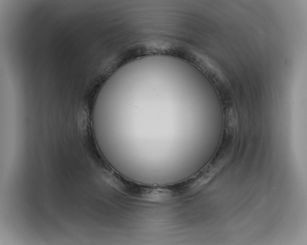 X0000111160463200907141405
