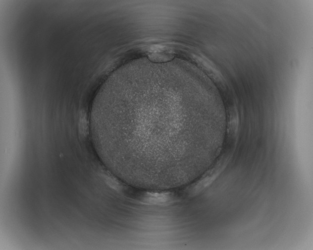 X0000111160469200907141405