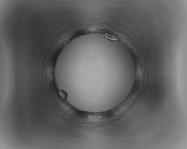 X0000111160470200907141405