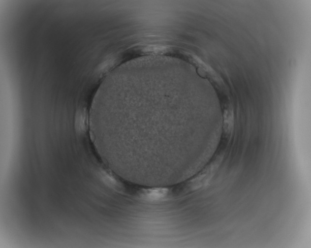 X0000111160474200907141405