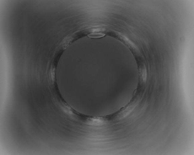 X0000111160475200907141405