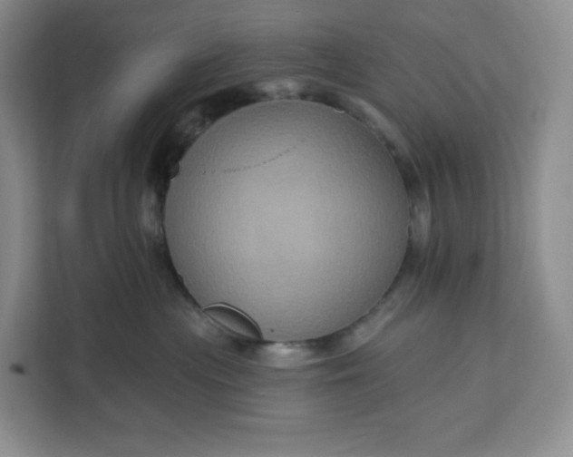 X0000111160477200907141405