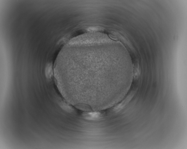X0000111160478200907141405