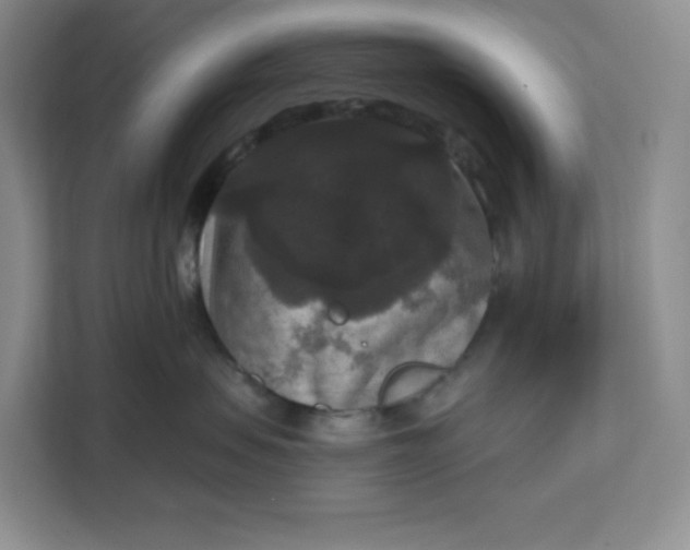 X0000111160479200907141405