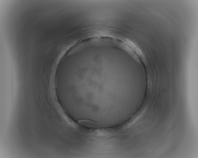X0000111160481200907141405