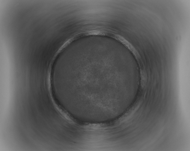 X0000111160482200907141405