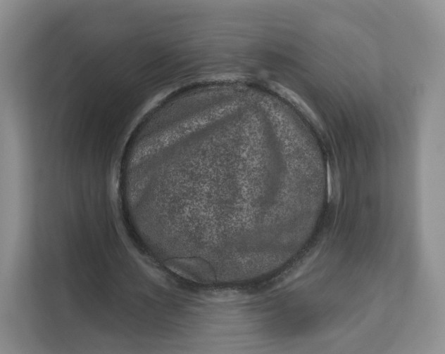 X0000111160483200907141405