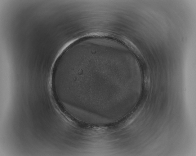 X0000111160484200907141405