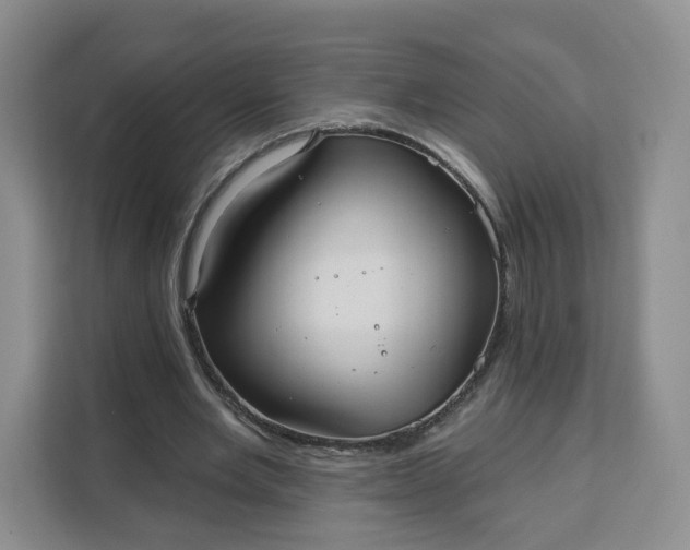 X0000111160485200907141405