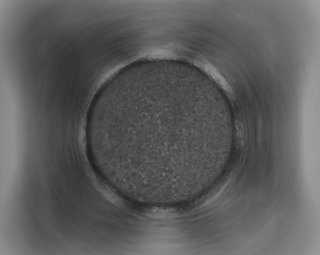 X0000111160487200907141405