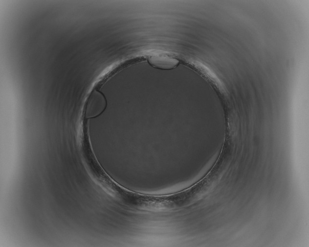 X0000111160488200907141405