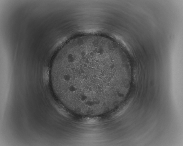 X0000111160495200907141404