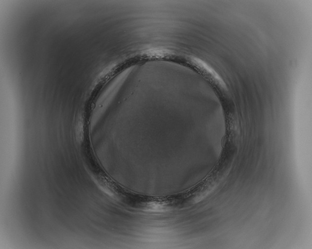 X0000111160496200907141404