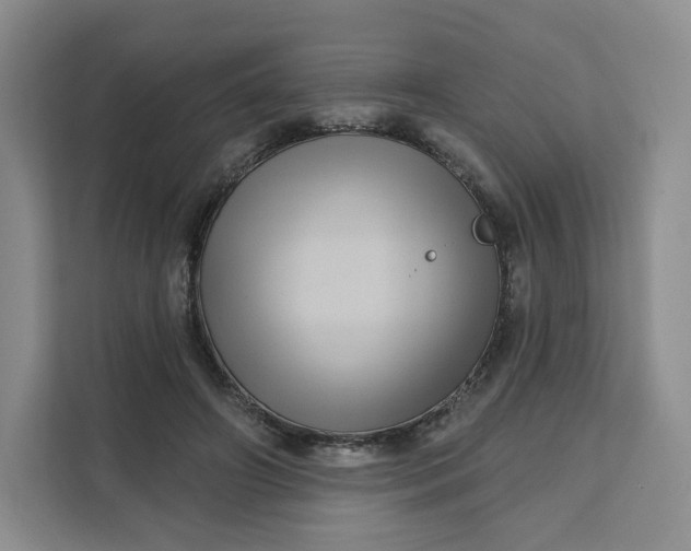 X0000111160498200907141404