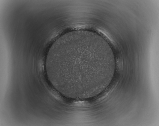X0000111160499200907141404