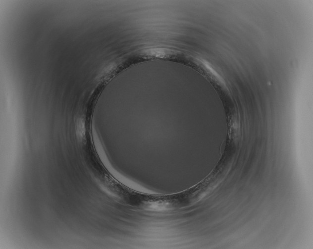 X0000111160500200907141404