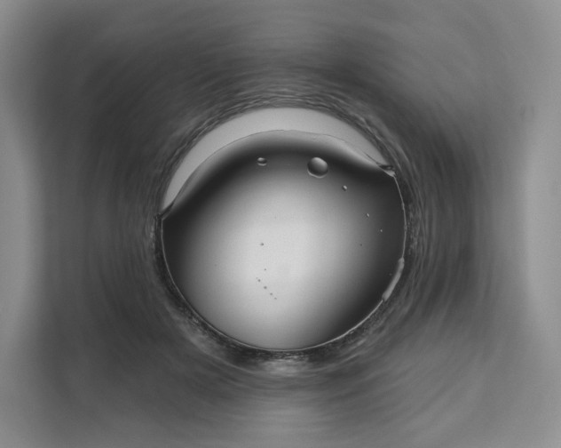 X0000111160505200907141404