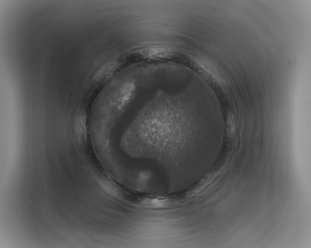 X0000111160506200907141404
