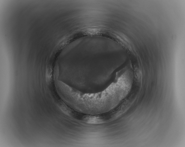 X0000111160507200907141404