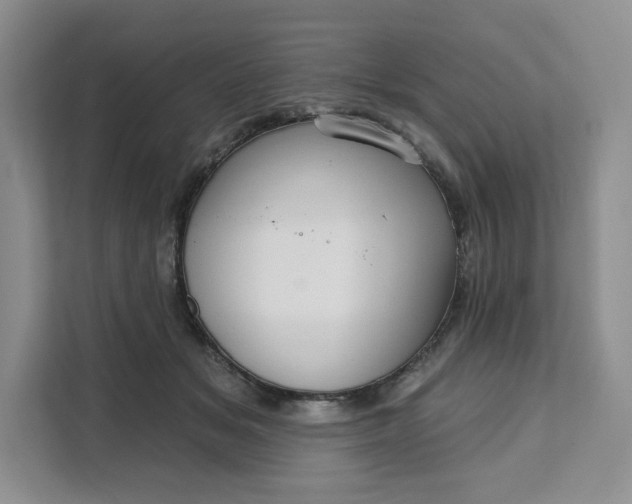 X0000111160509200907141404