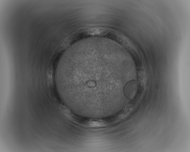 X0000111160510200907141404