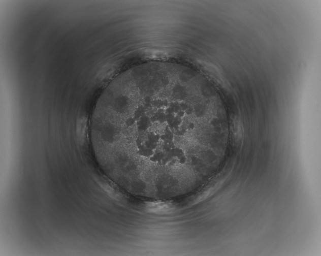 X0000111160511200907141404