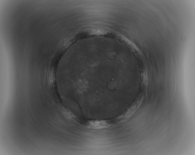 X0000111160517200907141404