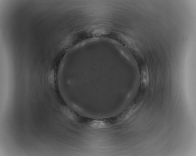 X0000111160519200907141404