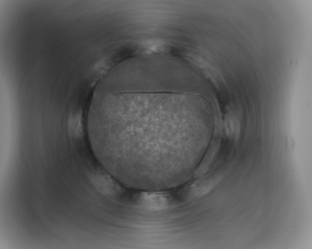 X0000111160520200907141404