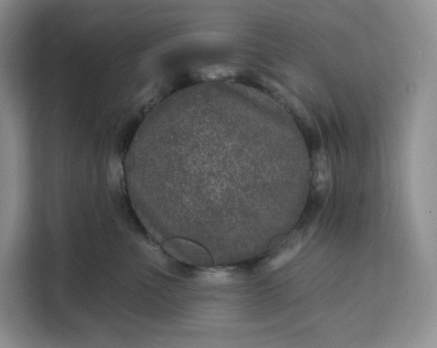 X0000111160523200907141404