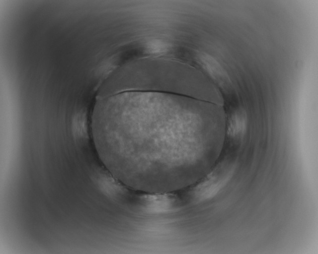 X0000111160524200907141404